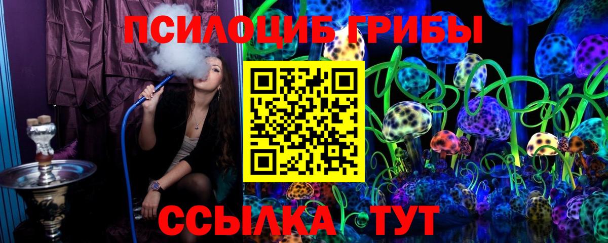 Галлюциногенные грибы Psilocybe Джанкой
