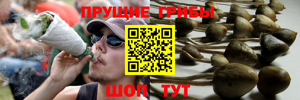 Галлюциногенные грибы мухоморы  Вход с VPN  Джанкой  Галлюциногенные грибы Magic Shrooms 